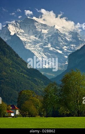 Vista sulla Jungfrau come visto da Interlaken, Svizzera Foto Stock