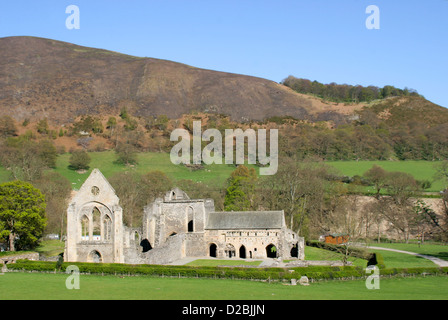 Valle Crucis Abbey Llangollen Denbighshire Wales UK Foto Stock