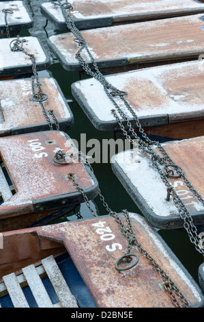 Sterline nella neve in inverno sul fiume Cam Quayside Cambridge Regno Unito Foto Stock