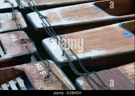 Sterline nella neve in inverno sul fiume Cam Quayside Cambridge Regno Unito Foto Stock