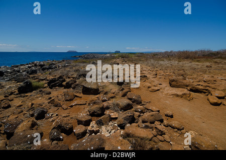 North Seymour, Isole Galapagos, Ecuador Foto Stock