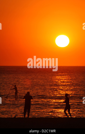La gente del posto che esercitano durante il Sunrise a Sydney la famosa Bondi Beach in una ondata di caldo giorno. Foto Stock