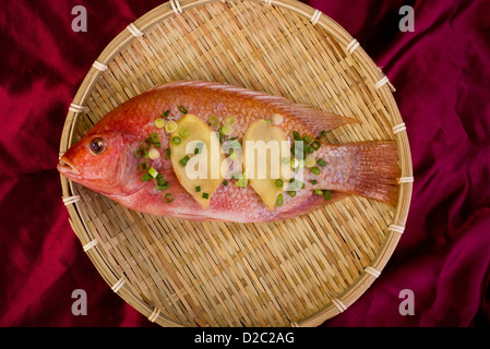 Fresco Lutiano rosso Pesce con lo zenzero e le cipolle. Foto Stock