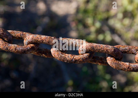 Catena arrugginiti utilizzati in un recinto lungo la costa in Pacific Grove, California Foto Stock