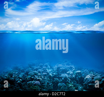 Underwater Coral reef fondale vista con trend con orizzonte di riferimento e la superficie dell'acqua diviso dalla linea di galleggiamento Foto Stock