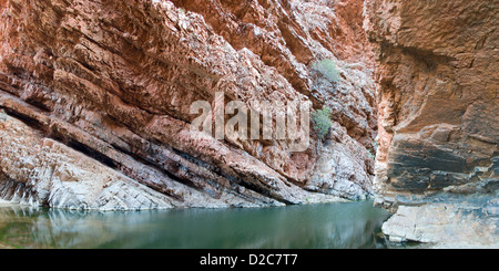 Standley Chasm Foto Stock