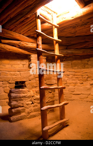 Scaletta a Spruce Tree House, cliff dimora di pre-colombiana indiani Anasazi e sito Patrimonio Mondiale dell'UNESCO, Mesa Verde NP USA Foto Stock