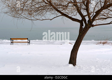 Il lago di Balaton in inverno tempo,Ungheria Foto Stock