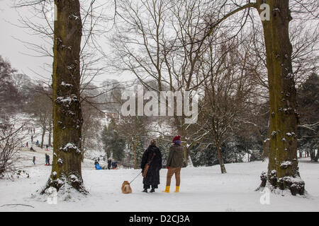 Il 20 gennaio 2013, Londra, Regno Unito. Waterlow Park a Londra del nord diventa un paradiso per gli sport invernali, come la neve continua a cadere attraverso il Sud Est Foto Stock