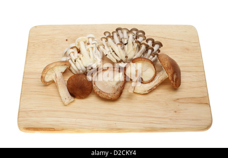 Commestibili funghi esotici su una tavola di legno isolata contro bianco Foto Stock