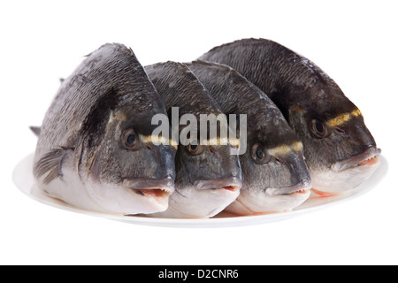 Quattro dorado sul pesce piatto bianco isolato su sfondo bianco Foto Stock