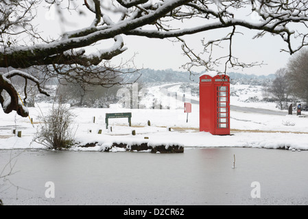 British Telecom BT telefono rosso nella casella vicino a Brockenhurst in New Forest National Park in Hampshire REGNO UNITO Foto Stock