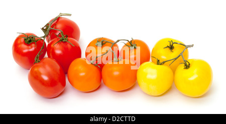 Mature multicolori con pomodori freschi sul ramo su sfondo bianco Foto Stock