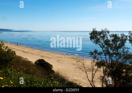 Un giovane si trova sulla spiaggia la visualizzazione di pellicani galleggianti in Summerland California Foto Stock