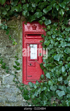 Una vecchia postbox vittoriana su un muro di pietra coperto di edera a metà Galles, Regno Unito Foto Stock