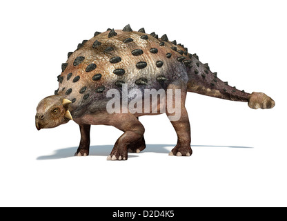 Calcolatore Ankylosaur artwork dinosauro scala predator corazza club giurassico di coda Foto Stock