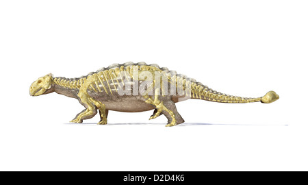 Calcolatore Ankylosaur artwork dinosauro scala predator corazza club giurassico di coda Foto Stock