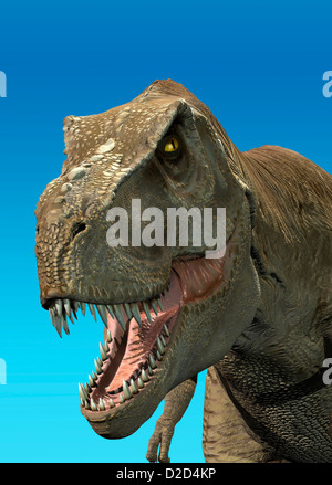 Tyrannosaurus rex dinosauro t rex più grande dinosauro carnivoro Foto Stock