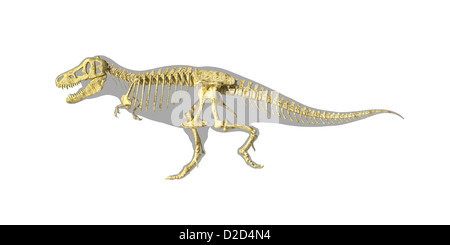T rex Tyrannosaurus rex a caccia di dinosauri dinosauri Gallimimus Foto Stock