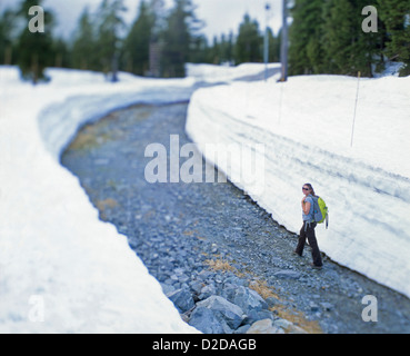 Femmina di escursionisti a piedi attraverso chiaro percorso sul Monte Seymour, Vancouver, Canada Foto Stock