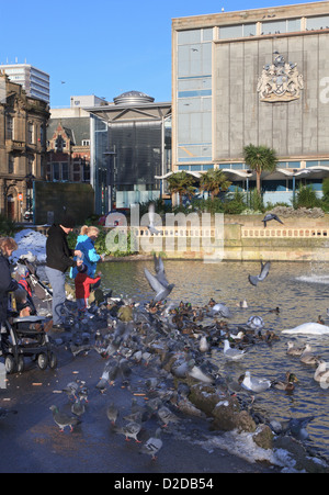 Persone uccelli alimentazione Mowbray Park Sunderland North East England Regno Unito Foto Stock