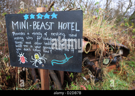 Blackboard rivolte ai bambini e il loro apprendimento circa i bug e insetti rendendo le cose divertenti e interessanti Foto Stock
