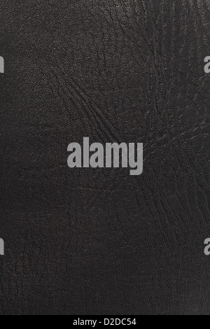 Close up foto di cuoio nero ad alta risoluzione Foto Stock