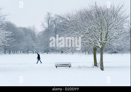 Cambridge, Regno Unito. Il 21 gennaio, 2013. Un uomo cammina su Gesù verde in Cambridge. Inoltre cadde neve per tutta la notte la creazione di pittoresche scene invernali in tutta la città storica. Foto Stock