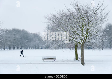 Cambridge, Regno Unito. Il 21 gennaio, 2013. Un uomo cammina su Gesù verde in Cambridge. Inoltre cadde neve per tutta la notte la creazione di pittoresche scene invernali in tutta la città storica. Foto Stock