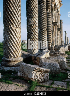 La Siria. Apamea o Apameia (Afamia). Colonnato del Cardo Maximus. Dettaglio. Foto Stock