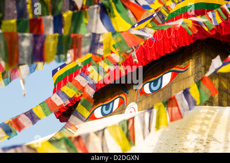 Il Boudanath Stupa, è uno del santissimo Buddist siti in Kathmandu, Nepal Foto Stock