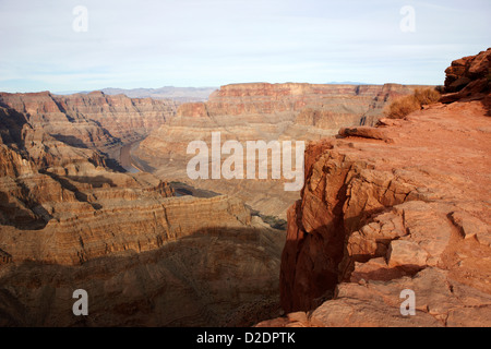 Esaminando il Grand Canyon e il fiume Colorado guano point Grand Canyon West arizona usa Foto Stock