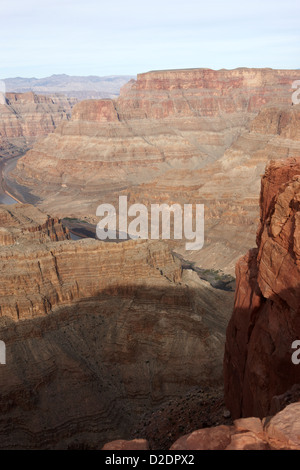 Esaminando il Grand Canyon e il fiume Colorado guano point Grand Canyon West arizona usa Foto Stock