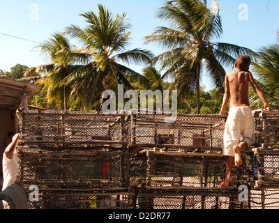 Ragazzi situati in trappole di aragosta a Barra de Camaragibe comunità di pesca, shore di Alagoas stato , a nord-est del Brasile Foto Stock