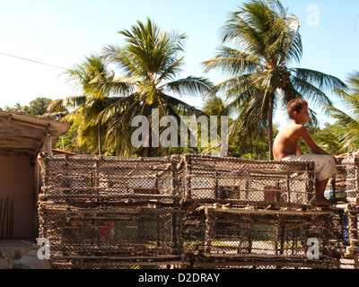 Ragazzi situati in trappole di aragosta a Barra de Camaragibe comunità di pesca, shore di Alagoas stato , a nord-est del Brasile Foto Stock