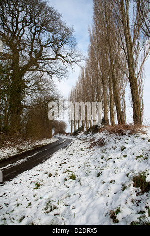 Paese di lingua inglese lane dopo la nevicata Silchester Inghilterra Hampshire REGNO UNITO Foto Stock