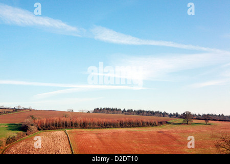 Una bellissima vista della campagna inglese in Ashcombe, Devon, Inghilterra. Una valle con ferro ricco suolo un cielo blu con nuvole wispy. Foto Stock