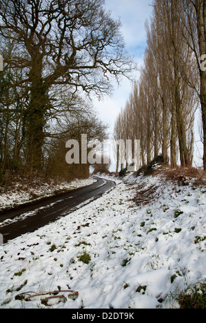 Paese di lingua inglese lane dopo la nevicata Silchester Inghilterra Hampshire REGNO UNITO Foto Stock