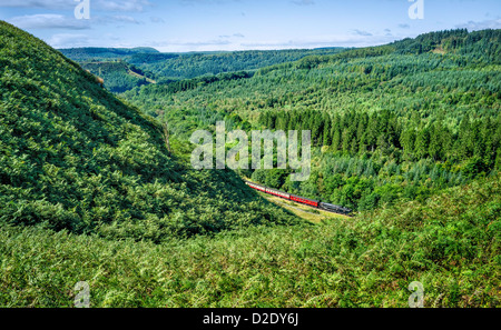 Vintage treno a vapore che fa il suo modo attraverso il paesaggio di rotolamento del North York Moors vicino Levisham, nello Yorkshire, Regno Unito Foto Stock