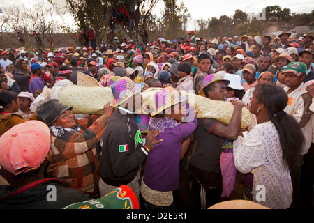 Madagascar, Betsileo cerimonia famadihana, 'Turning delle ossa di famiglia dei corpo portante Foto Stock