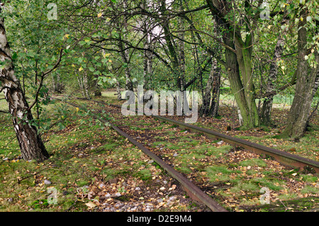 Essen, Germania, functionless ed incolto i binari della ferrovia Foto Stock