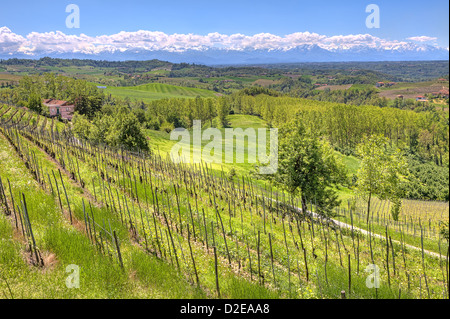 Vista rurale su verdi colline, prati e vigneti in primavera in Piemonte, Italia settentrionale. Foto Stock