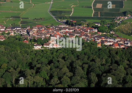 Francia, Marne (51), il villaggio di Hautvillers dei vigneti champagne, vicino a Epernay Foto Stock