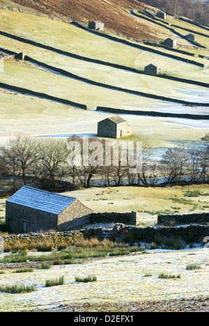 Gelo invernale sul fienili in Swaledale superiore, Yorkshire Dales National Park Foto Stock