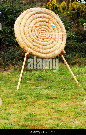 Paglia di tiro con l'arco di cerchio target con frecce in legno in essa come il concetto di concorrenza Foto Stock