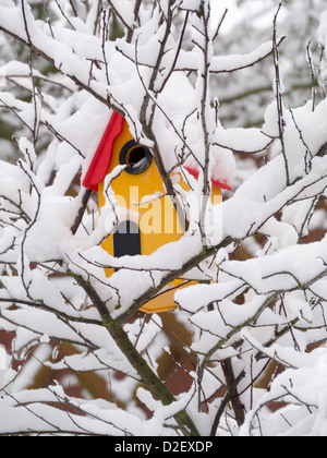 La nidificazione degli uccelli casella in un arbusto nevoso Foto Stock