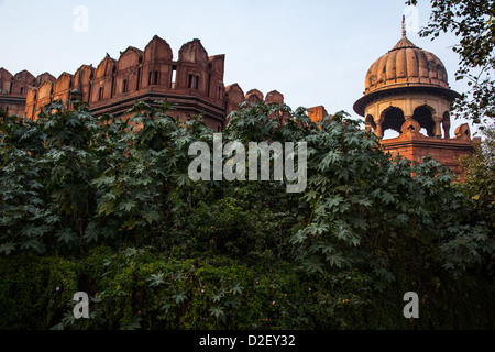 Lal Qila o Red Fort nella Vecchia Delhi, India Foto Stock