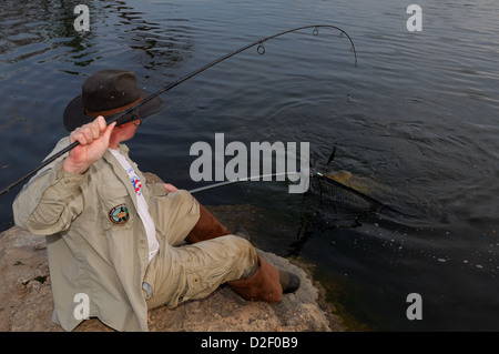 L'uomo la cattura di una carpa comune (Cyprinus carpio) al Lago Lady Bird, Austin in Texas Foto Stock