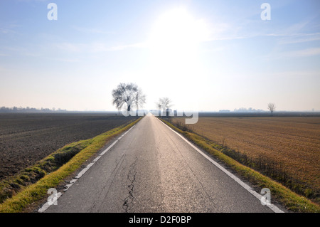 Dritta strada rurale in Valle Po - Italia Foto Stock