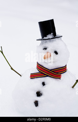 Pupazzo di neve contro un sfondo innevato. Foto Stock